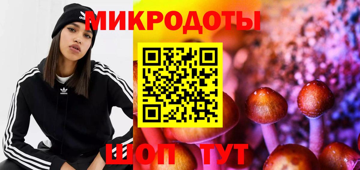 Галлюциногенные грибы Magic Shrooms  Вход с VPN  Галлюциногенные грибы Magic Shrooms  Тихвин 